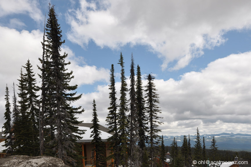 2010.04.22 0145p BigWhite